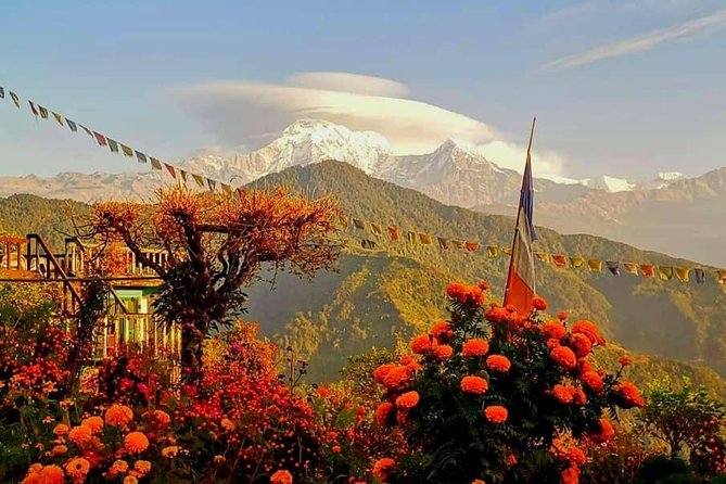 1-Day Private Dhampus Trekking Tour - Walking Through Villages and Farmland