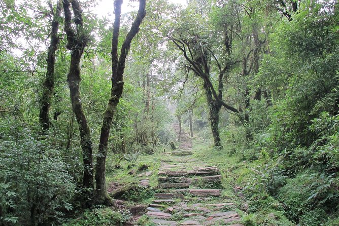 1-Day Private Dhampus Trekking Tour - Lunch in Dhampus