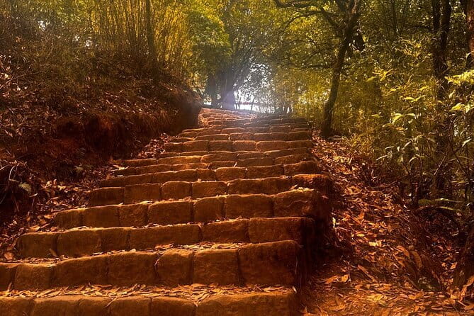 1-Day Trip to Kathmandu Hiking - Jamacho Hill 5-6 hrs. - Three Hours Through Shivapuri National Park