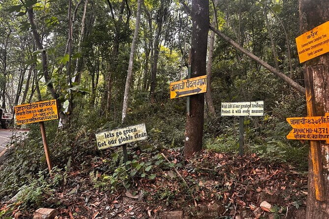 1-Day Trip to Kathmandu Hiking - Jamacho Hill 5-6 hrs. - The Descent Back to Fulbari Gate