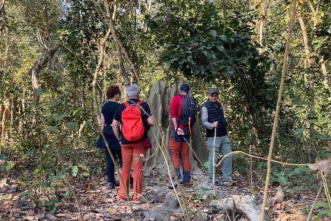 1 Night 2 Days Chitwan Jungle Safari Tour from Kathmandu - The morning jeep safari and realistic wildlife hopes