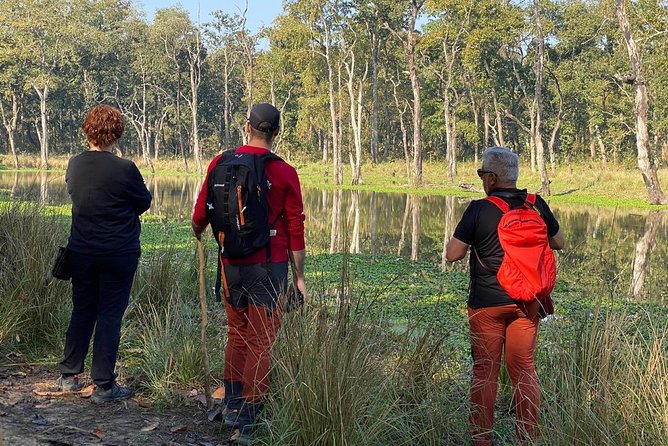 1 Night 2 Days Chitwan Jungle Safari Tour from Kathmandu - The five-hour ride back to Kathmandu
