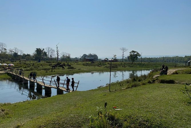 1 Night 2 Days Chitwan Jungle Safari Tour from Kathmandu - How the $155 price measures up