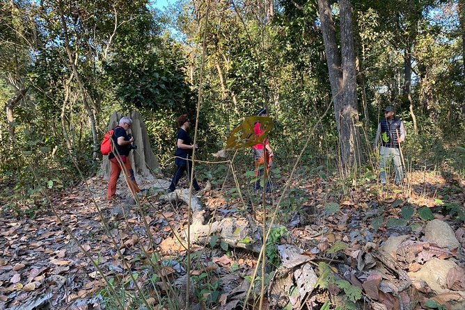 1 Night 2 Days Chitwan Jungle Safari Tour from Kathmandu - Who should book this Chitwan experience