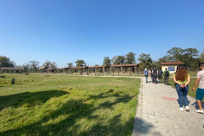 1 Night 2 Days Chitwan Jungle Safari Tour from Pokhara or Kathmandu - The guide, group size, and organization