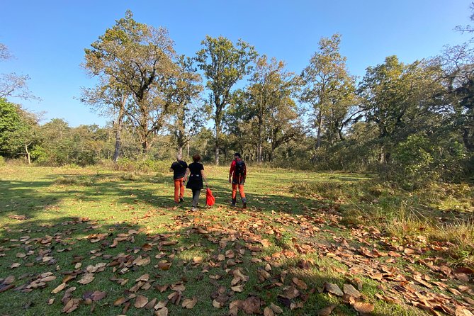 1 Night 2 Days Chitwan Jungle Safari Tour from Pokhara or Kathmandu - Day 1: Entering the park and reaching the Rapti River