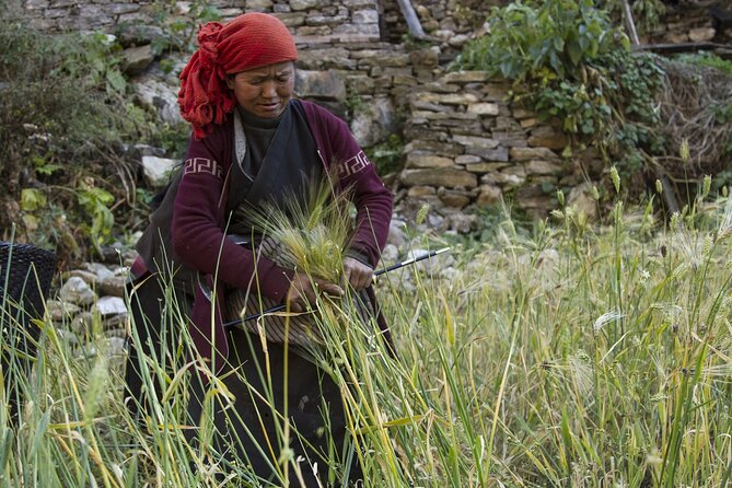 10 Days Manaslu Circuit Trek in Larke La Pass - Day 3: Philim and Deng, With More River Crossings