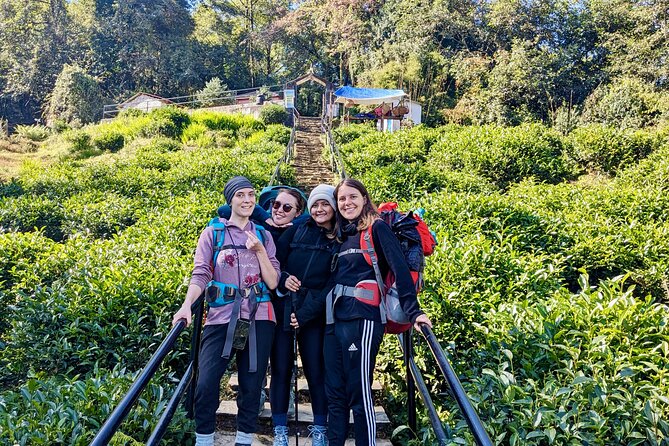 10 Days Private Guided Annapurna Basecamp Trek via Poon Hill - Day 3: The early climb to Poon Hill