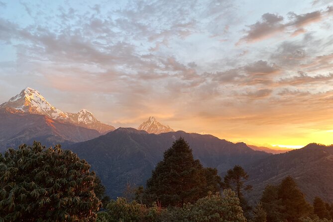 10 Days Private Guided Annapurna Basecamp Trek via Poon Hill - Day 6: Bamboo forest, Hinku Cave, and Deurali