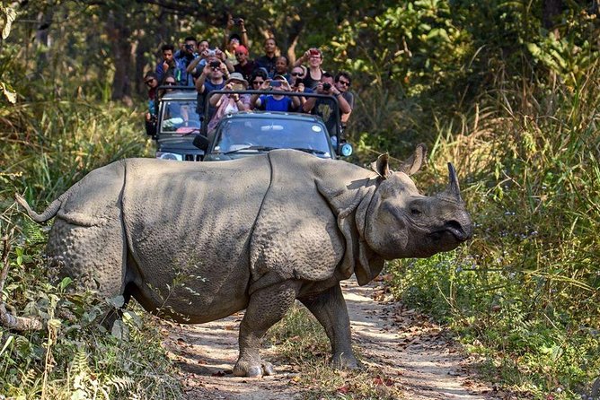 10 days Special Nepal Tour Package - What the $1,216 price really covers