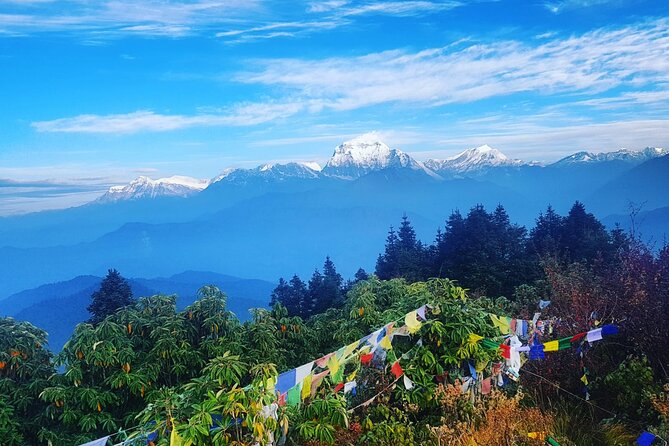11-Day Hike Tour to Annapurna Base Camp Bliss in Kathmandu - Day 1: A smooth start in Kathmandu