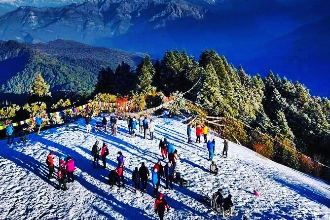 11-Day Hike Tour to Annapurna Base Camp Bliss in Kathmandu - Day 6: Forest trails beside the Modi Khola