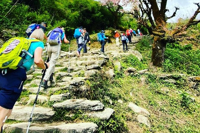 11-Day Hike Tour to Annapurna Base Camp Bliss in Kathmandu - Day 2: Flight to Pokhara and the first trail