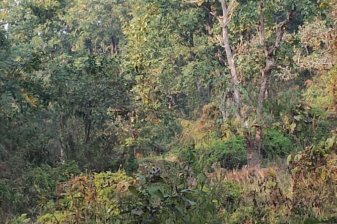 11 Days Nepal Round Tour - Lumbini and the roots of Buddhism