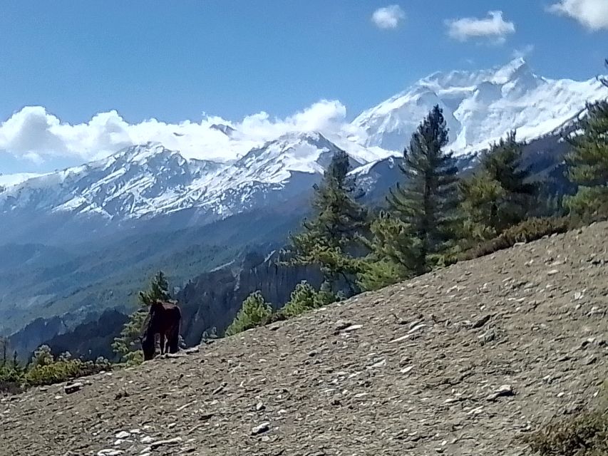 12 Day Annapurna Circuit Trek from Pokhara or Kathmandu - Days 2 and 3: Bahundanda and Chamje