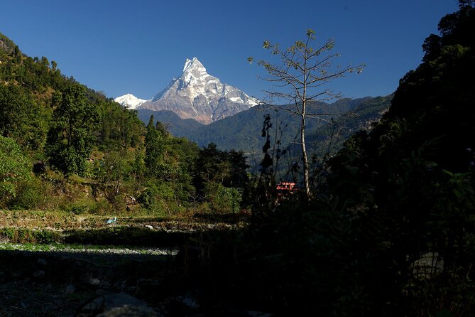 12-Day Nepal Adventure Trek with Jungle Safari - A useful first look at the 12-day route
