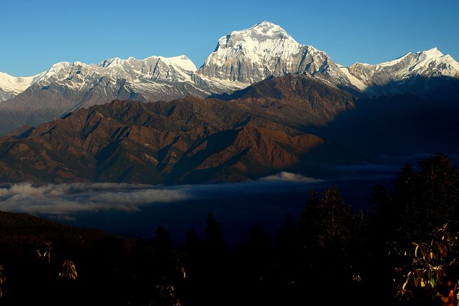 12-Day Nepal Adventure Trek with Jungle Safari - Day 6: Poon Hill sunrise and the walk to Tadapani