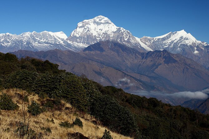 12-Day Nepal Adventure Trek with Jungle Safari - Day 7: Forest paths and Ghandruk