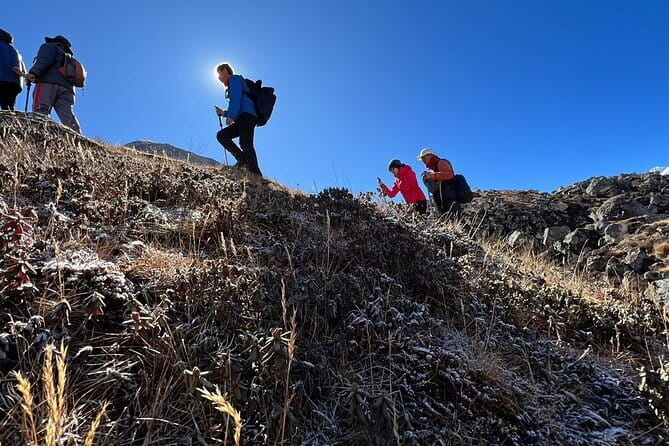 12 days Langtang Valley Homestay Trek - Forest trails and the climb to Lama Hotel
