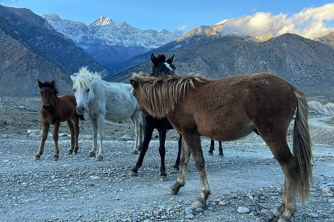 12 Days Overland Tour to Upper Mustang - Why Upper Mustang rewards a slower, tougher trip