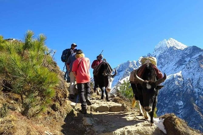 14 Days Everest Base Camp Trekking - Pangboche, Ama Dablam, and Dingboche