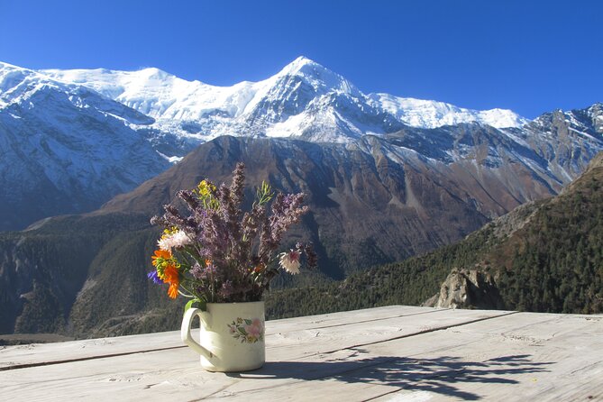 15-Day Private Annapurna Circuit Trek from Kathmandu - Pisang to Manang: choose the route with your guide