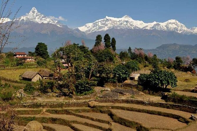 2 Day Private Panchase Trek Tour from Pokhara - Reaching Ghatichhina and returning to Pokhara