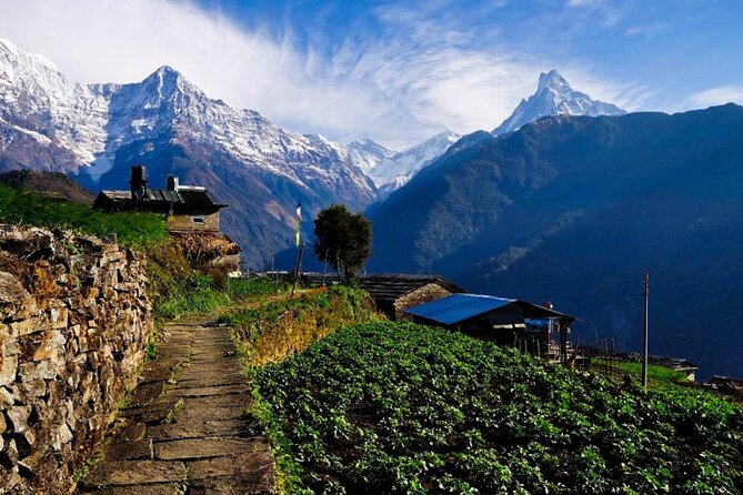 2 Day Private Panchase Trek Tour from Pokhara - Day two: the early climb to Panchase Peak