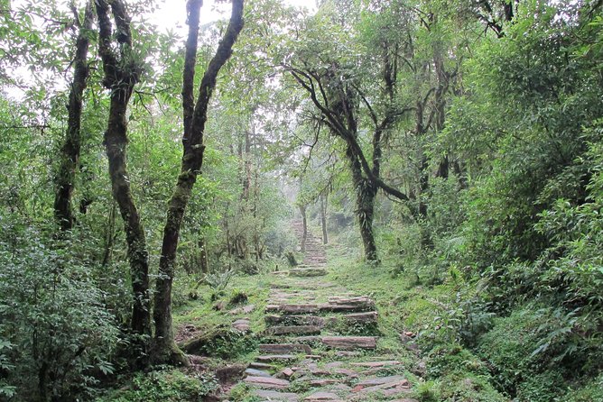 2-Day Private Trekking Tour to Australian Camp & Dhampus - What the $99 price really covers