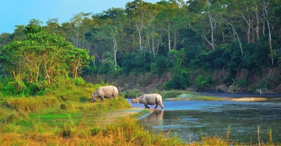 2 Days Chitwan Jungle Safari Tour from Pokhara/Kathmandu - Why this short Chitwan trip works