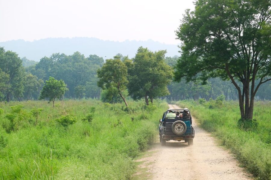 2 Days Chitwan Jungle Safari Tour from Pokhara/Kathmandu - The afternoon jeep safari in Chitwan National Park