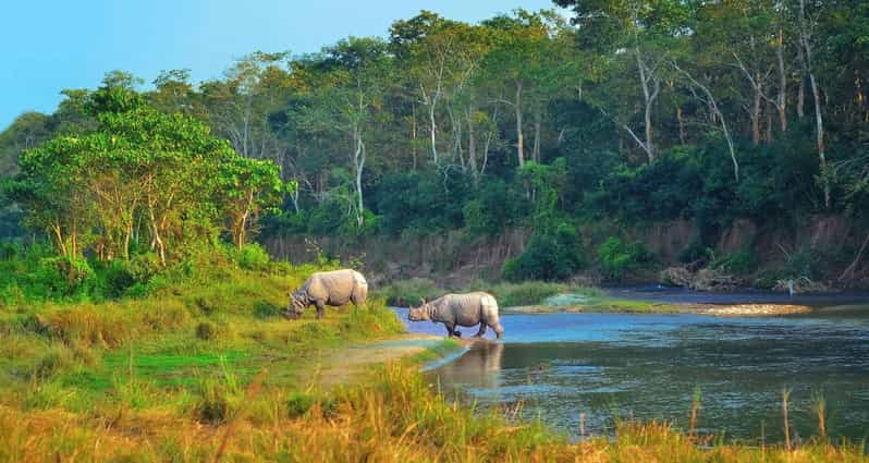 2 Days Chitwan Jungle Safari Tour from Pokhara/Kathmandu - Who should book this two-day safari?