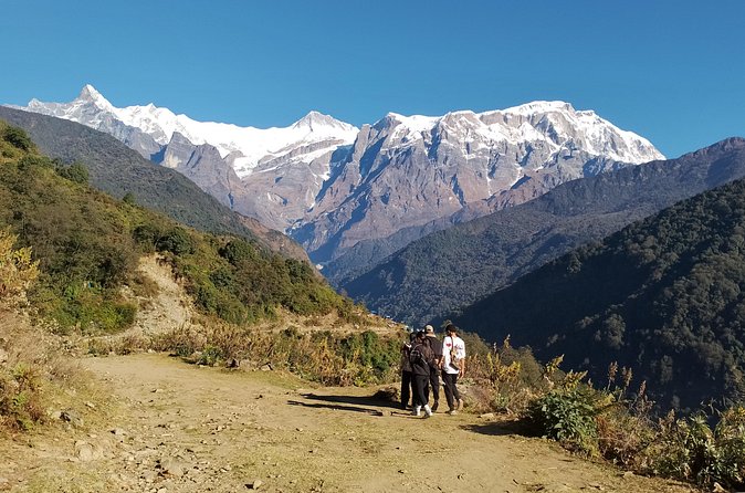 2 Days Kapuche Glacier Lake Trek from Pokhara - Returning to Pokhara on the second day