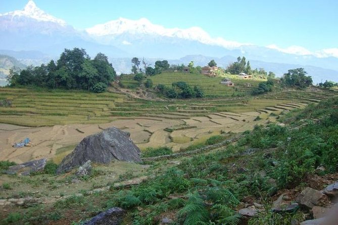 2 Days Panchase Hill Trek from Pokhara - Is $94 a fair price?