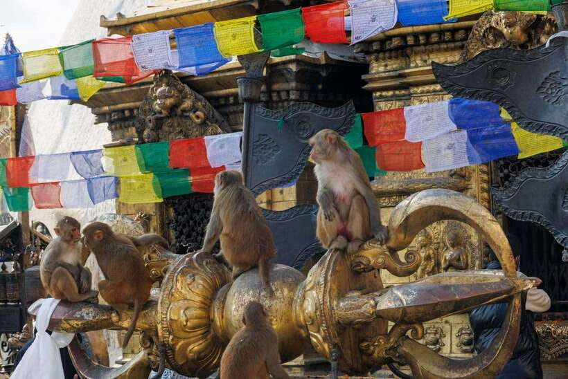 2 Days UNESCO Heritage Tour of Nepal - Should You Book The UNESCO Heritage Tour Of Nepal?