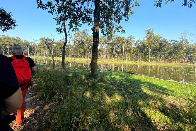 2 Hours Nature Walk in Chitwan National Park - Key points to know before you book