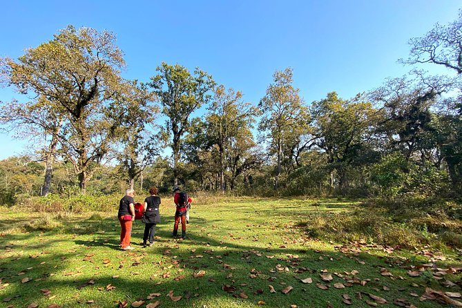 2 Hours Nature Walk in Chitwan National Park - Pickup from Sauraha and a private start