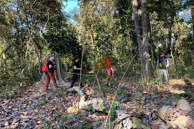 2 Hours Nature Walk in Chitwan National Park - Deer, peacocks, birds, and the chance of more