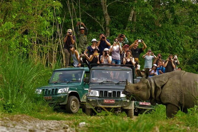 2 Night 3 Day Chitwan Jungle Safari Tour from Pokhara - Day 2: Searching Chitwan National Park by jeep