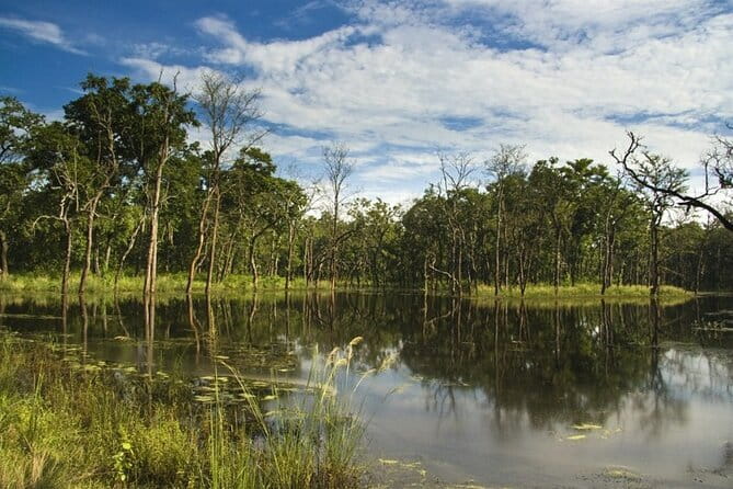 2 Night 3 Day Chitwan Jungle Safari Tour from Pokhara - Day 1: Leaving Pokhara for Sauraha