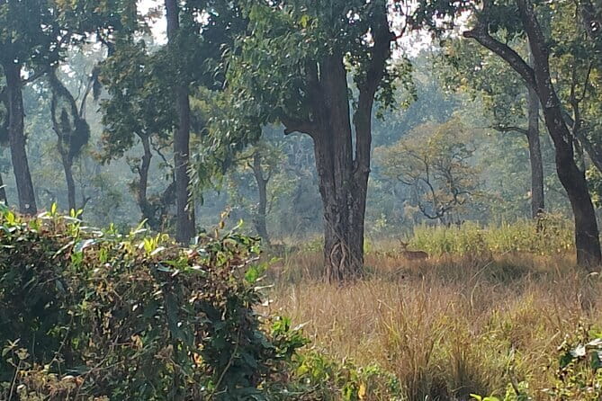 2 Night 3 Days Chitwan Jungle Safari Tour from Kathmandu - Key points at a glance