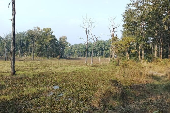 2 Night 3 Days Chitwan Jungle Safari Tour from Kathmandu - Food, hotel, and cultural touches