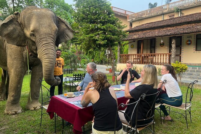 2 Nights 3 Days Chitwan National Park Package with Jeep Safari - The main Chitwan day: jeep, canoe, and wildlife