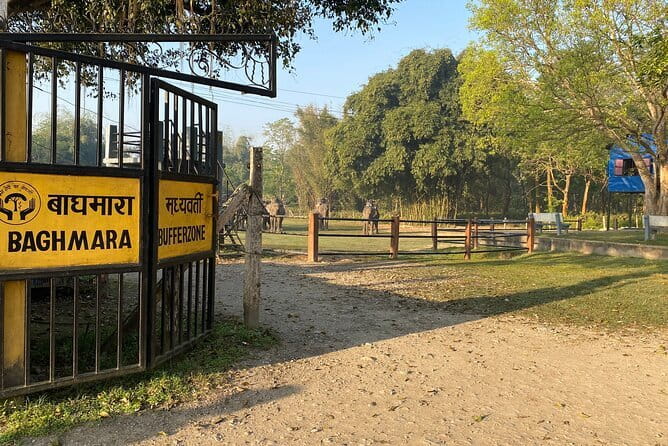 2 Nights 3 Days Chitwan National Park Package with Jeep Safari - The return to Kathmandu on day three