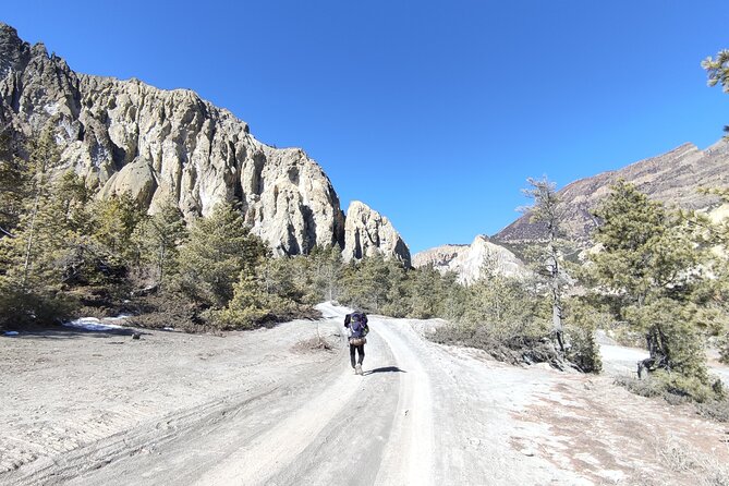 20 Days Annapurna Circuit Trek - Forests return on the way to Tatopani