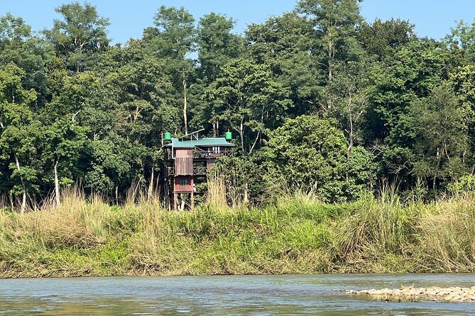 2Night 3Day Chitwan Jungle Tower Night Stay and CNP Nepal Safari - Key things to know before booking