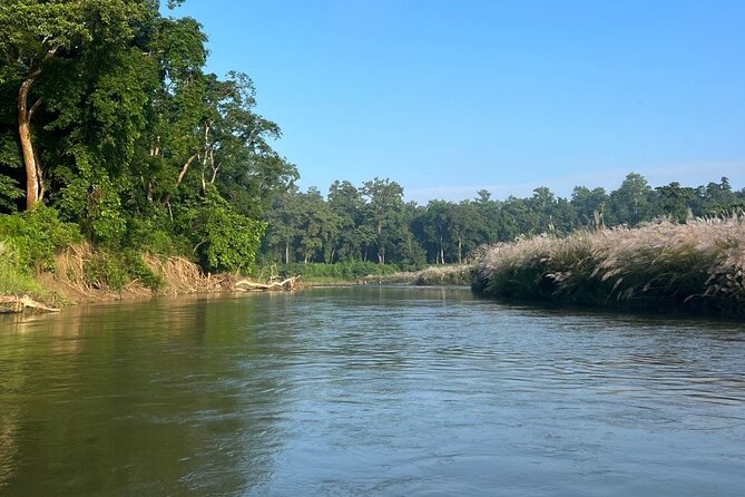 2Night 3Day Chitwan Jungle Tower Night Stay and CNP Nepal Safari - A three-day plan built around variety