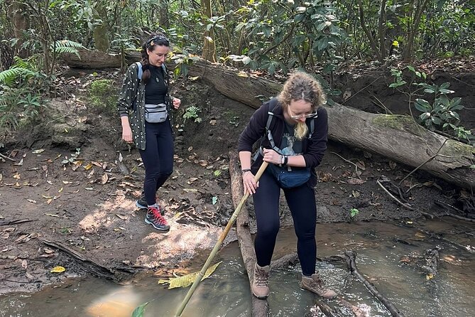 2Night 3Day Chitwan Jungle Tower Night Stay and CNP Nepal Safari - The EBC visit and Tharu culture dance