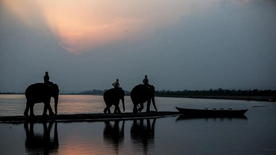 3-Day Chitwan Jungle Safari Adventure From Kathmandu/Pokhara - The Elephant Breeding Center and the Safari Choice