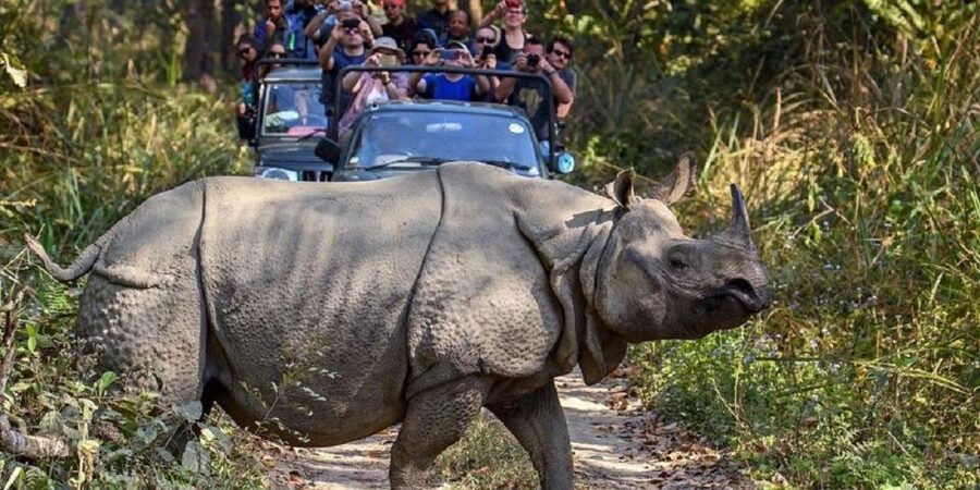 3-Day Chitwan Jungle Safari Adventure From Kathmandu/Pokhara - Who Will Enjoy This Chitwan Trip Most